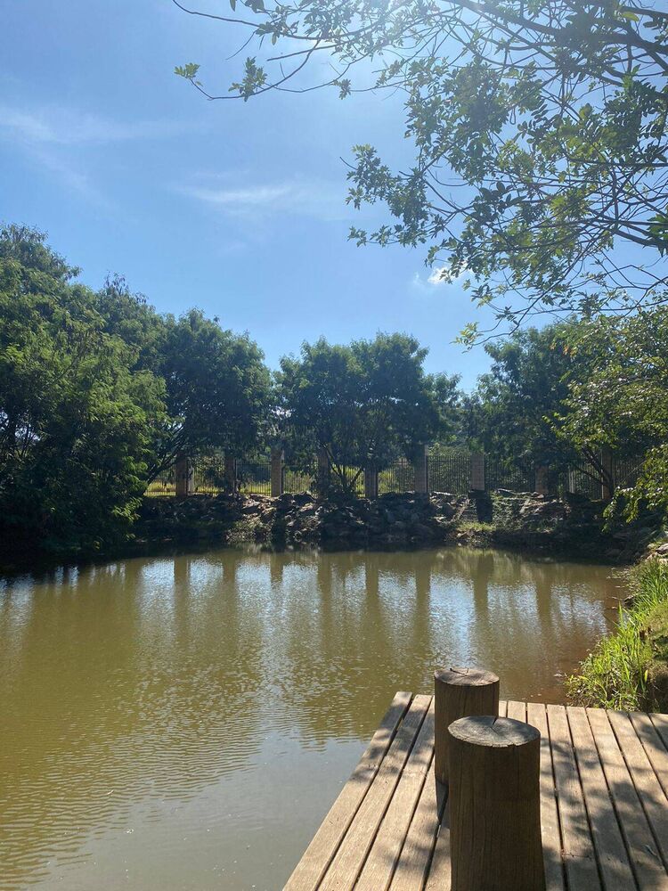 Terreno, 150 m² - Foto 1