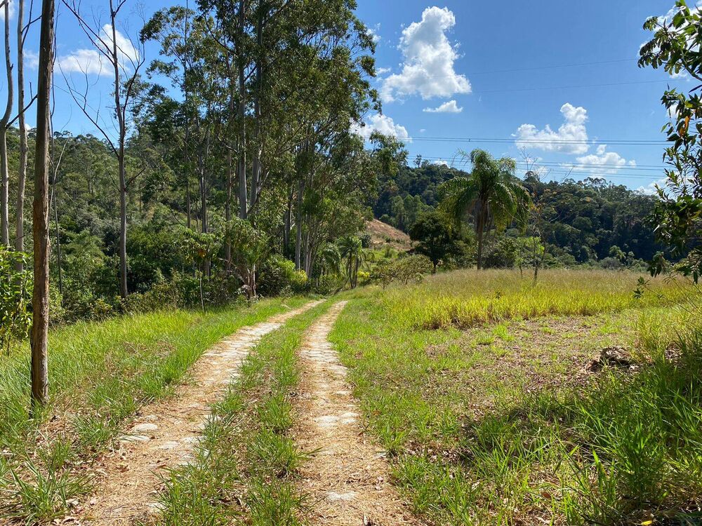 Terreno, 2 hectares - Foto 4