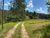 Terreno, 2 hectares - Foto 4