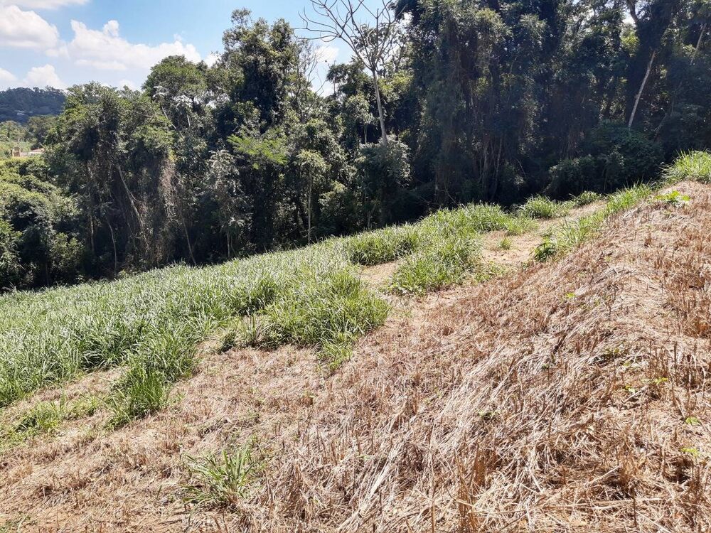 Terreno, 5500 m² - Foto 1