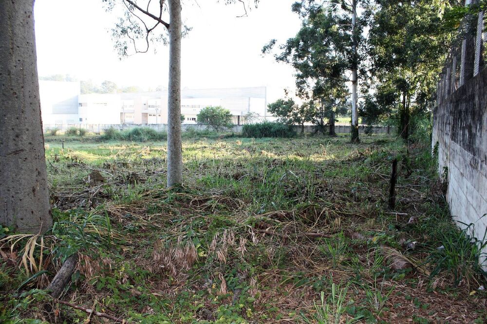 Terreno, 1 hectares - Foto 1