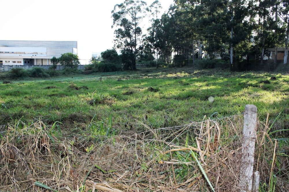 Terreno, 1 hectares - Foto 2