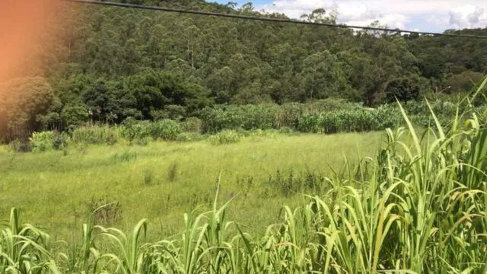 Prédio Inteiro, 68000 m² - Foto 1