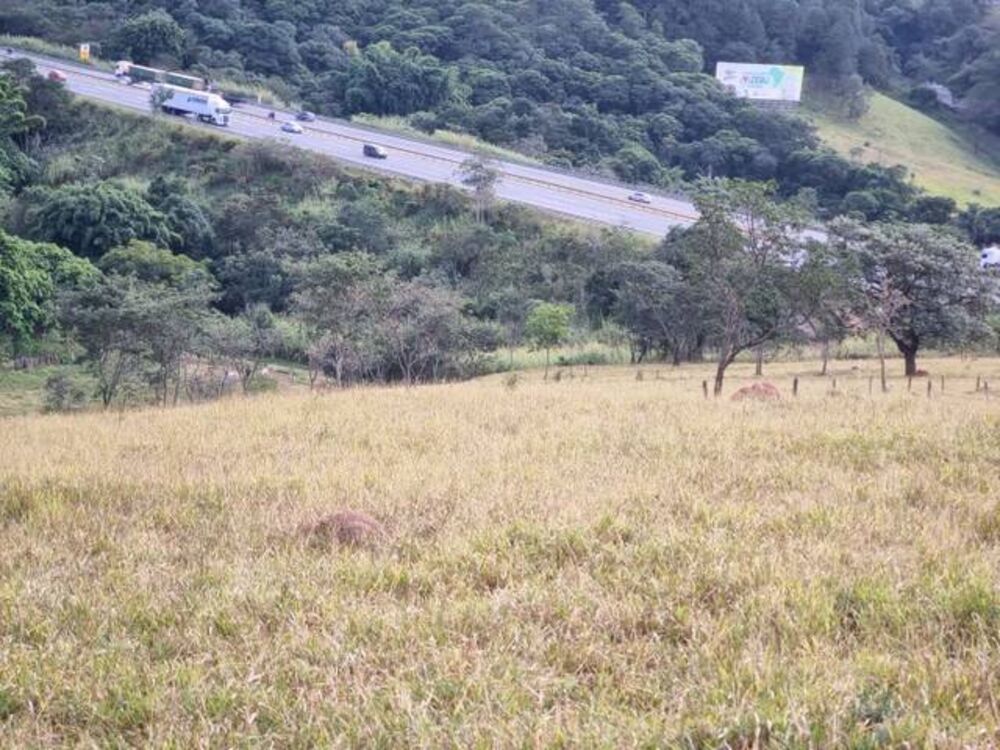 Terreno, 2 hectares - Foto 4