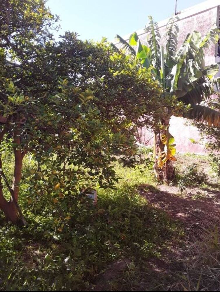 Casa, 3 quartos, 175 m² - Foto 2