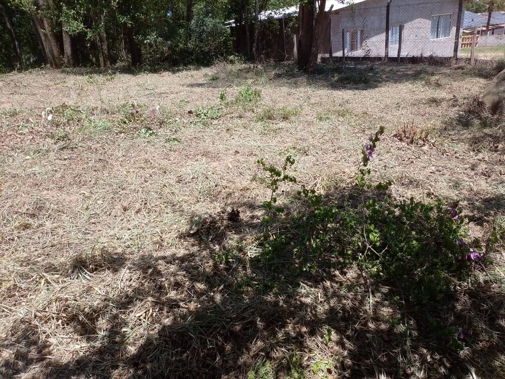 Terreno, 1250 m² - Foto 2