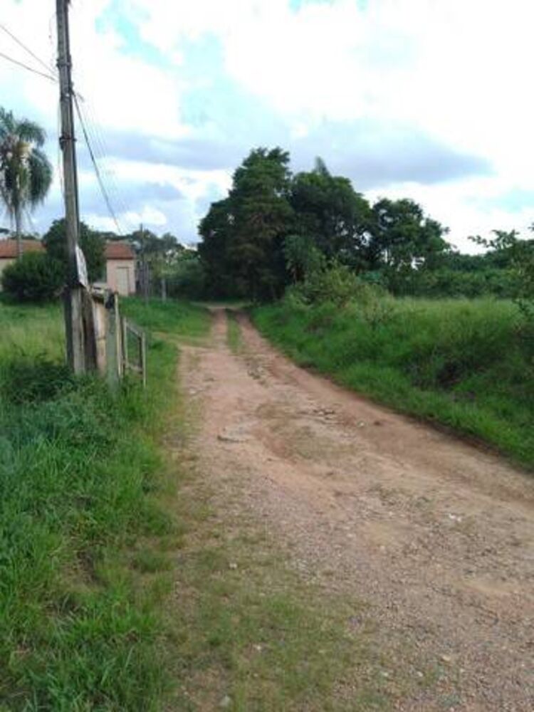 Terreno, 3 hectares - Foto 4