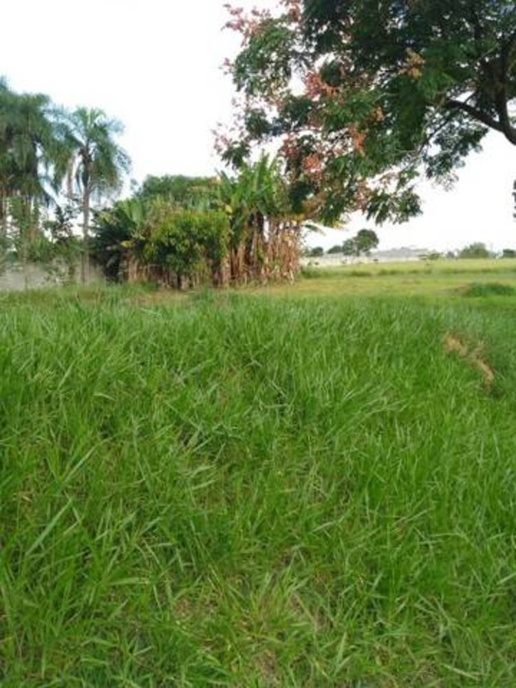 Terreno, 3 hectares - Foto 2