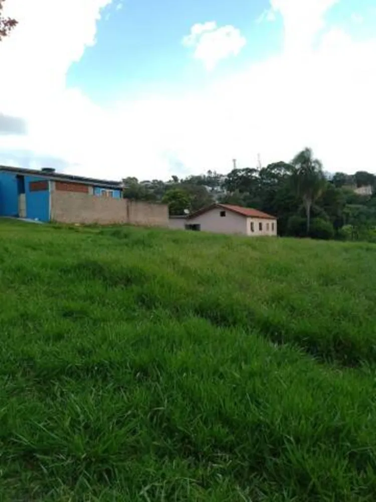 Terreno, 3 hectares - Foto 3