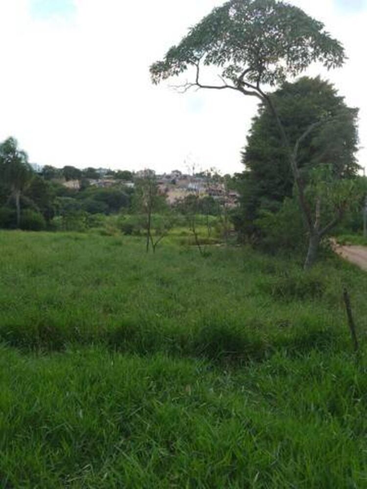 Terreno, 3 hectares - Foto 1