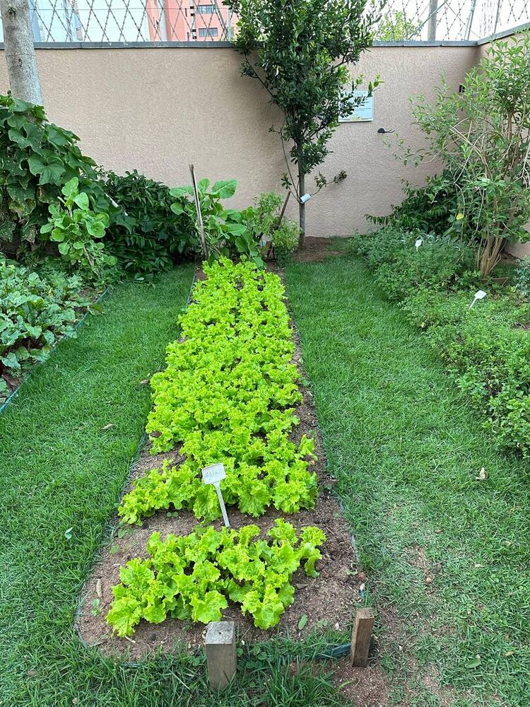 Apartamento, 3 quartos, 90 m² - Foto 12