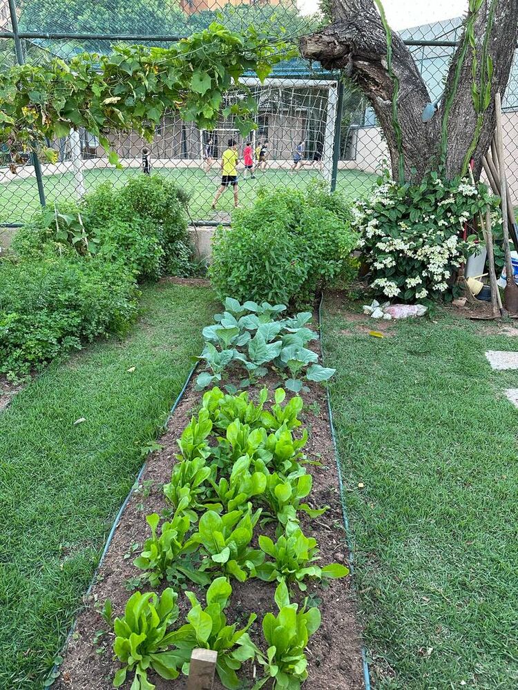 Apartamento, 3 quartos, 90 m² - Foto 11