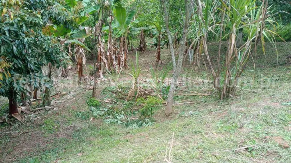 Chácara, 3 quartos, 2500 m² - Foto 12