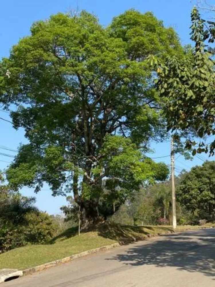 Terreno, 600 m² - Foto 11