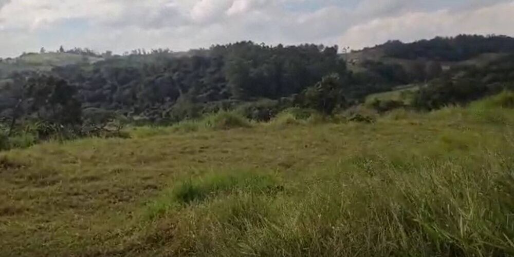 Terreno, 43 hectares - Foto 3