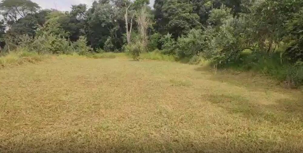 Terreno, 43 hectares - Foto 4