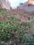 Terreno, 500 m² - Foto 1
