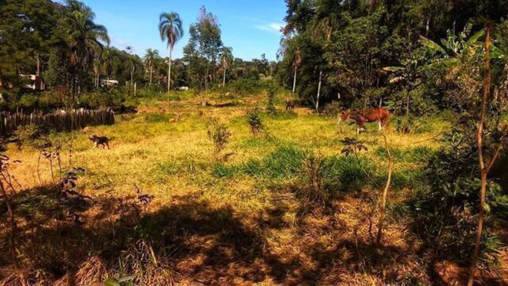 Terreno, 6066 m² - Foto 4