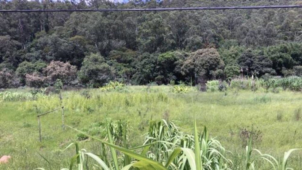 Terreno, 7 hectares - Foto 1