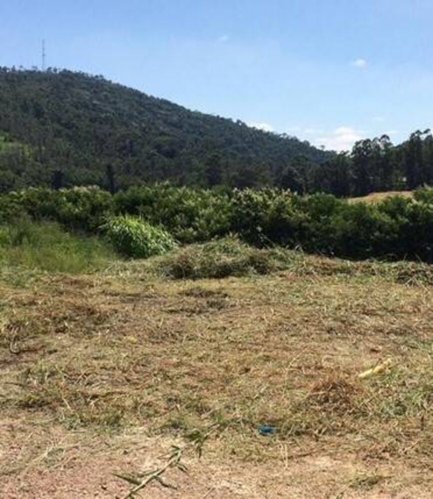 Terreno, 313 m² - Foto 2