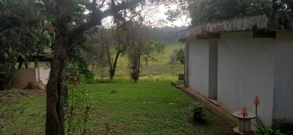 Terreno, 7 hectares - Foto 4