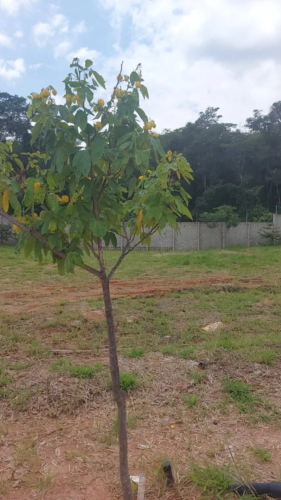 Terreno, 360 m² - Foto 2