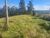 Terreno, 2 hectares - Foto 3