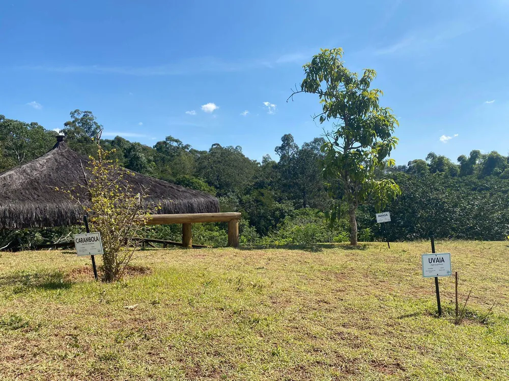 Terreno, 150 m² - Foto 10