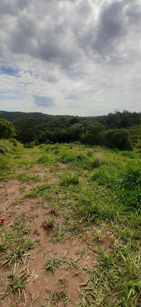 Terreno, 2 hectares - Foto 2