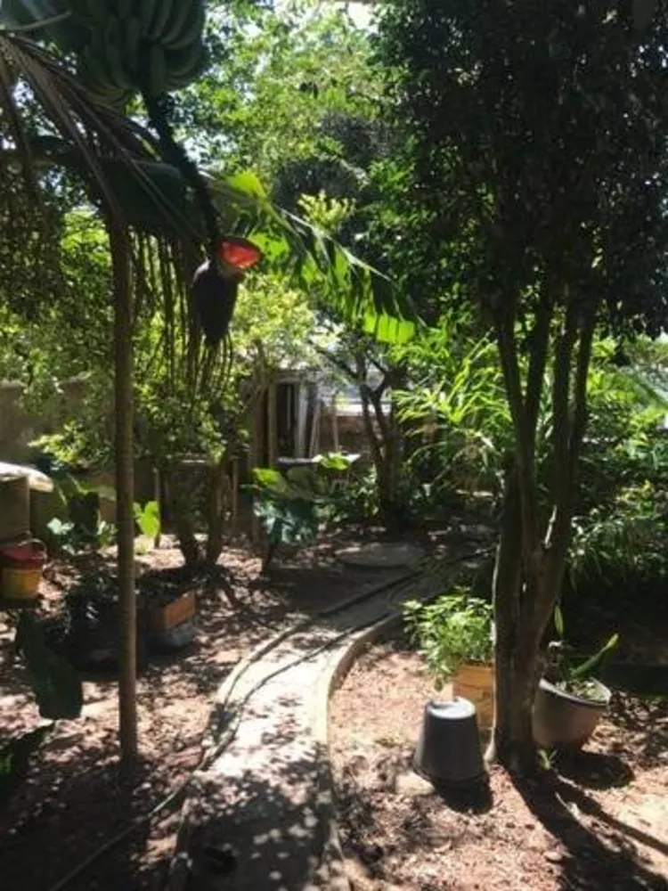 Casa, 4 quartos, 336 m² - Foto 8