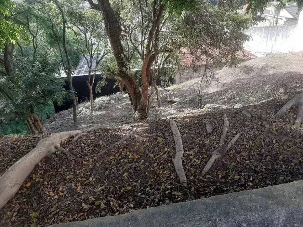 Terreno, 350 m² - Foto 2