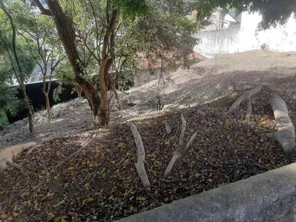 Terreno, 350 m² - Foto 3