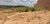 Terreno, 250 m² - Foto 4