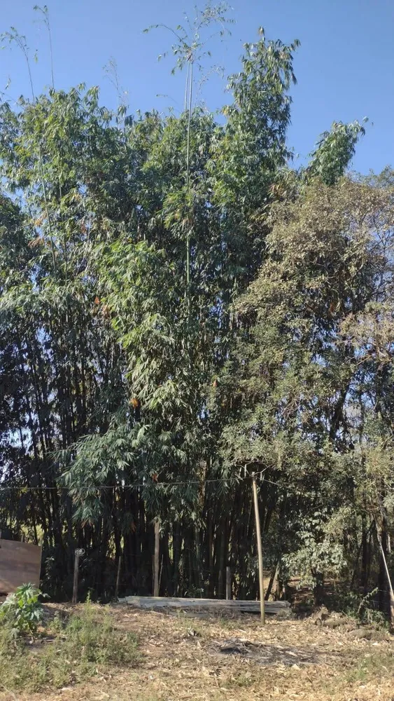 Terreno, 2 hectares - Foto 11
