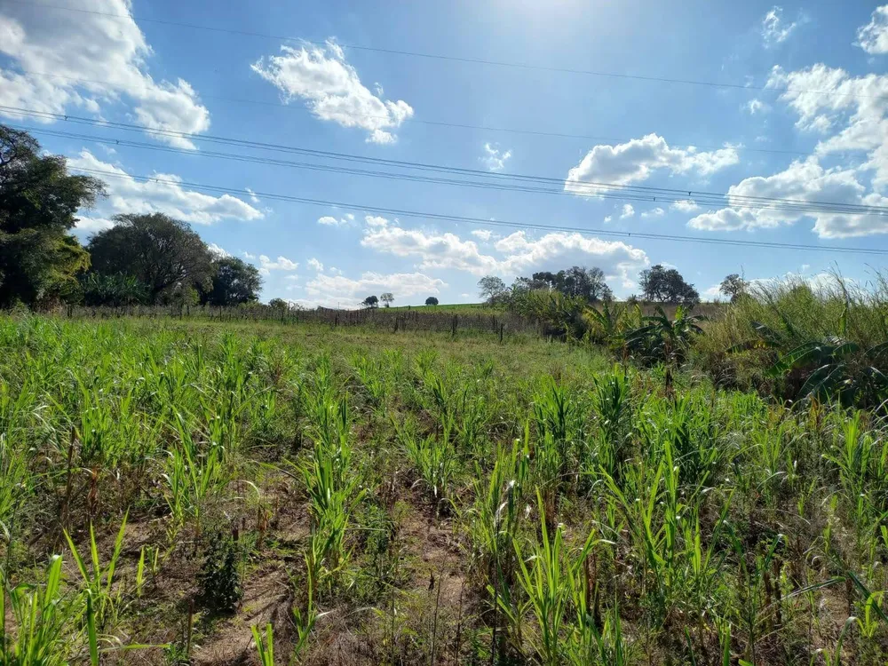 Terreno, 2 hectares - Foto 4