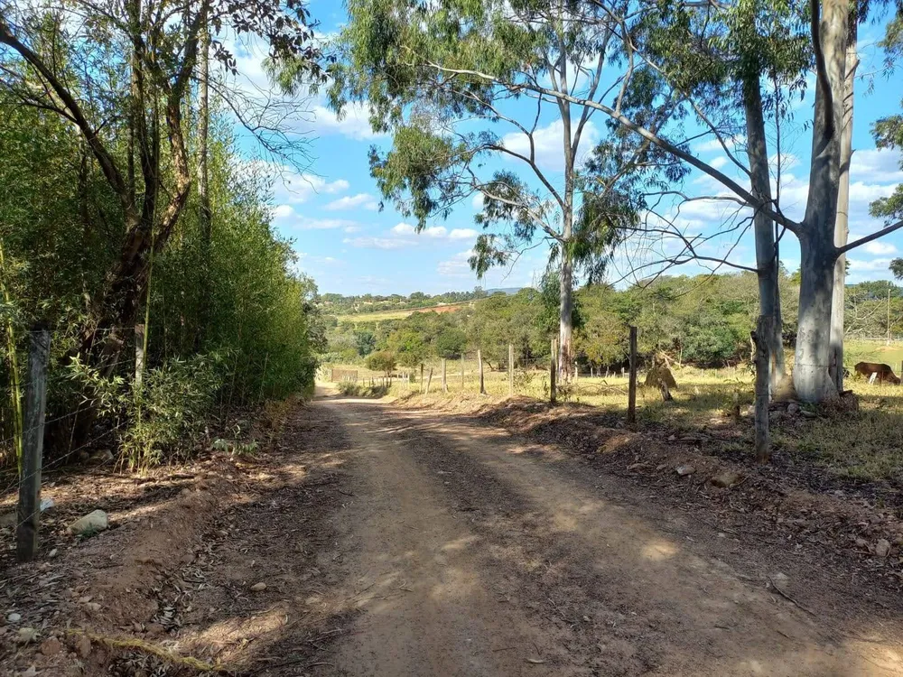 Terreno, 2 hectares - Foto 7