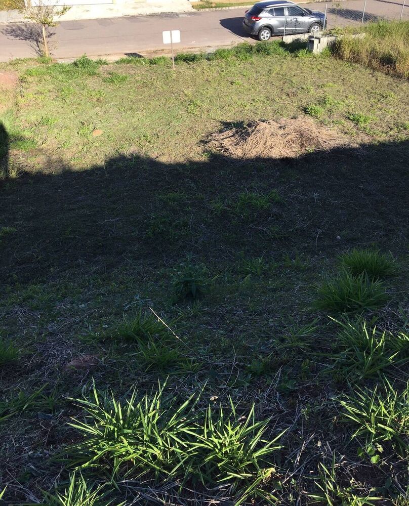 Terreno, 250 m² - Foto 2