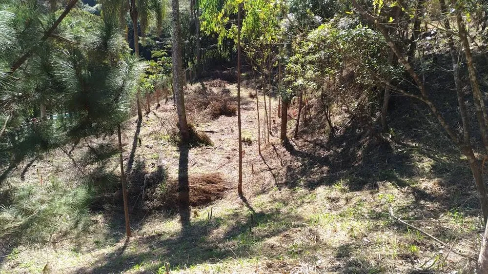 Terreno, 3220 m² - Foto 10