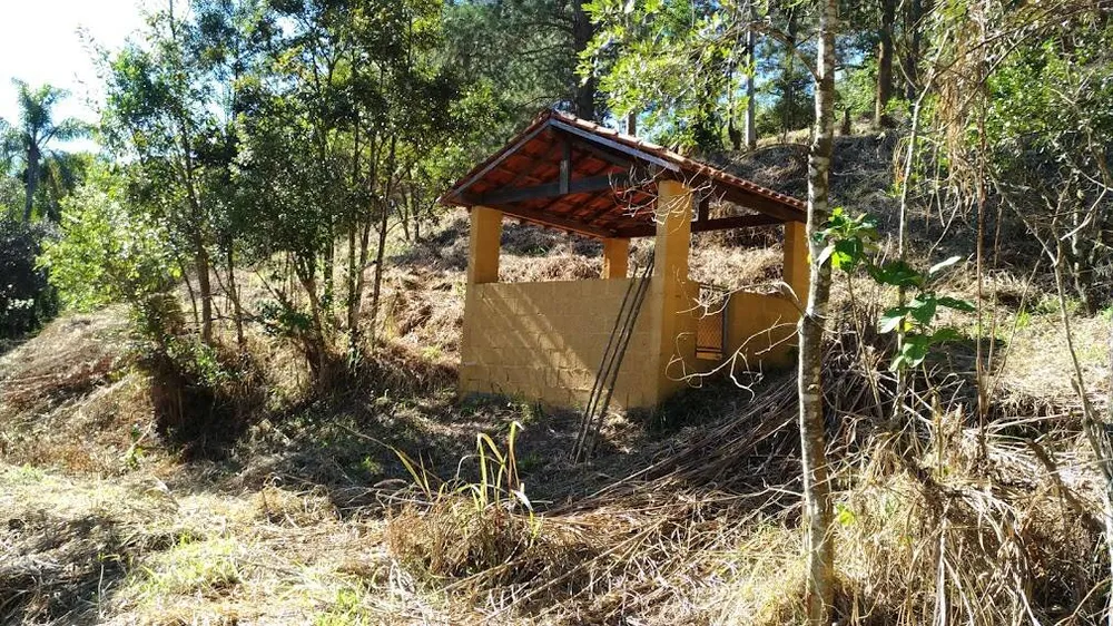 Terreno, 3220 m² - Foto 9