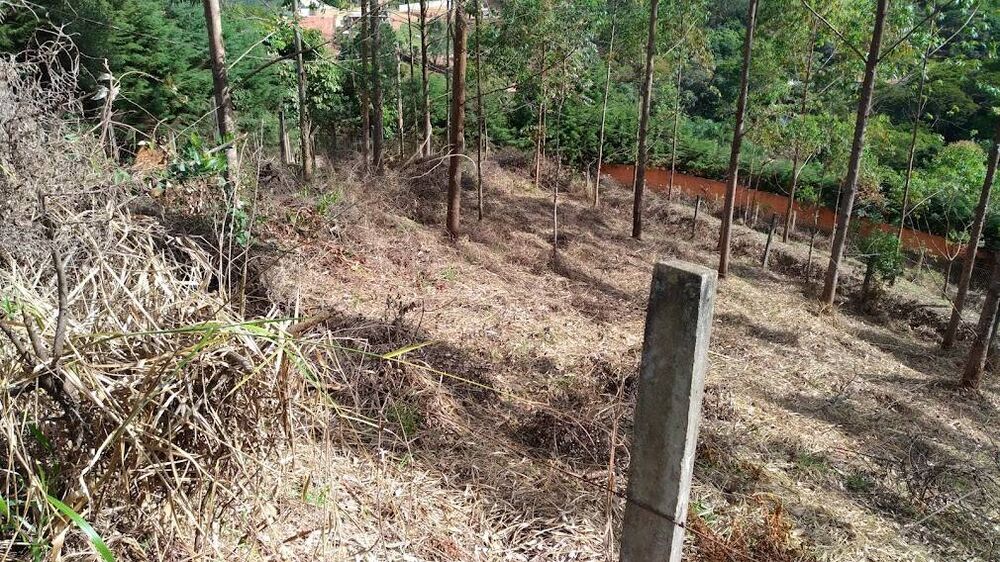 Terreno, 3220 m² - Foto 3