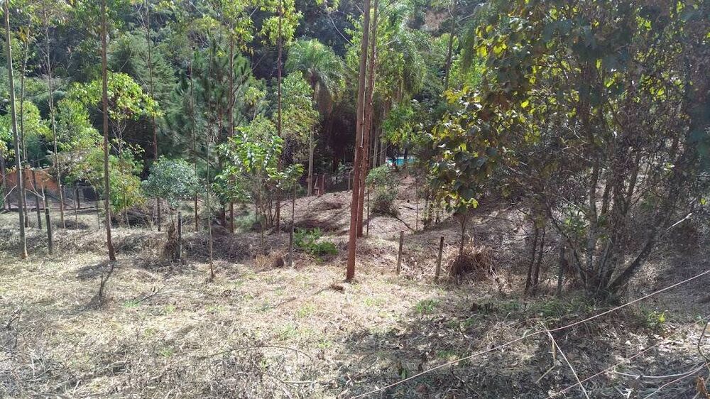 Terreno, 3220 m² - Foto 1