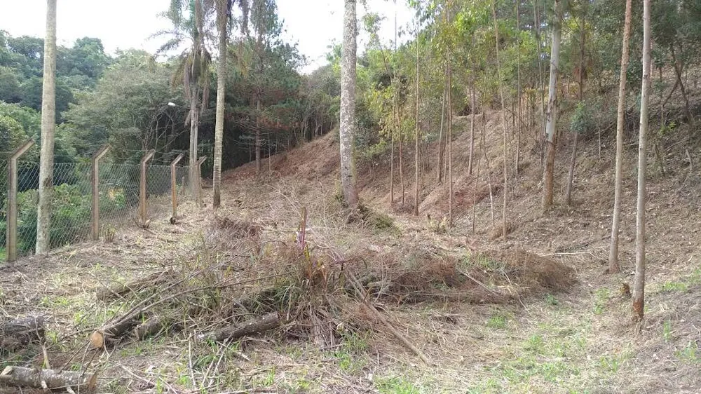 Terreno, 3220 m² - Foto 3