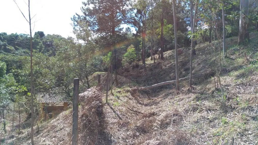 Terreno, 3220 m² - Foto 4