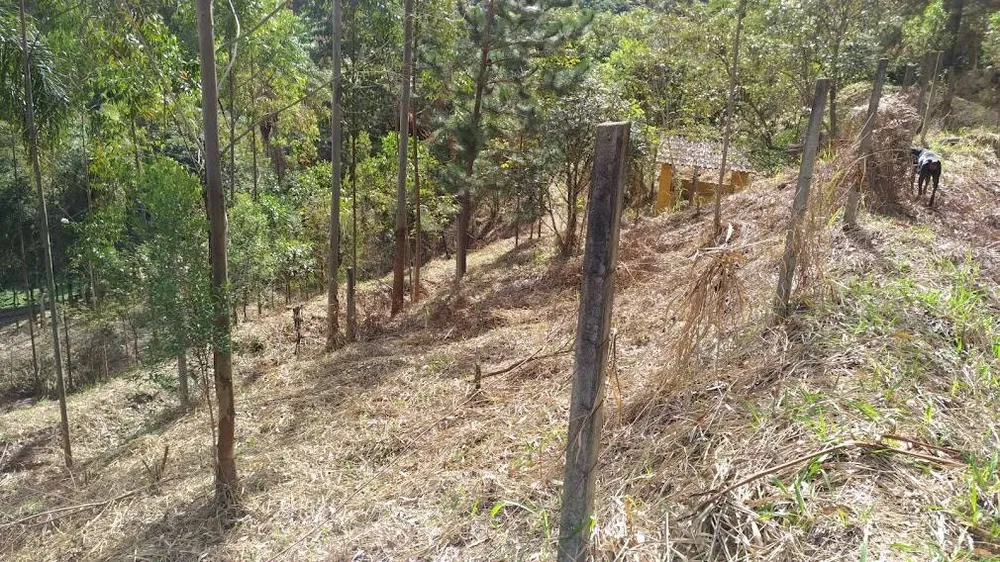 Terreno, 3220 m² - Foto 8