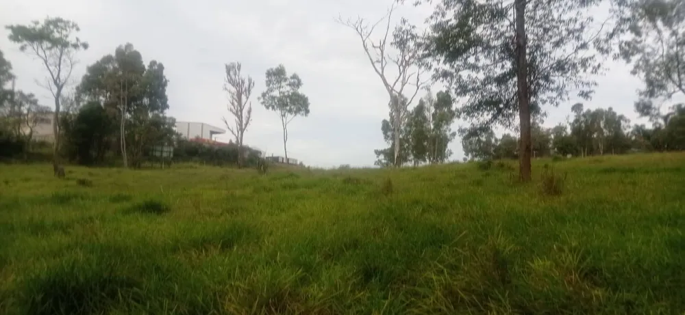 Terreno, 7 hectares - Foto 2