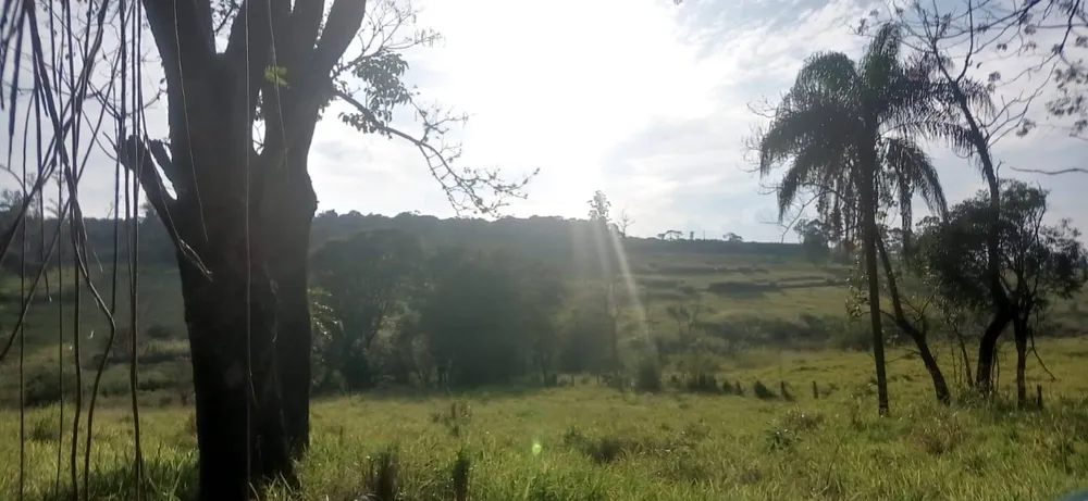 Terreno, 7 hectares - Foto 7