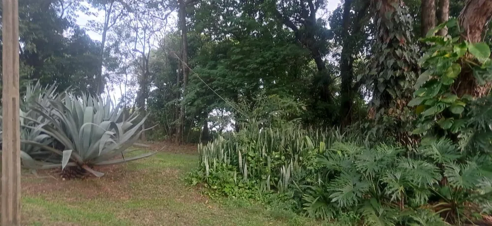 Terreno, 7 hectares - Foto 10
