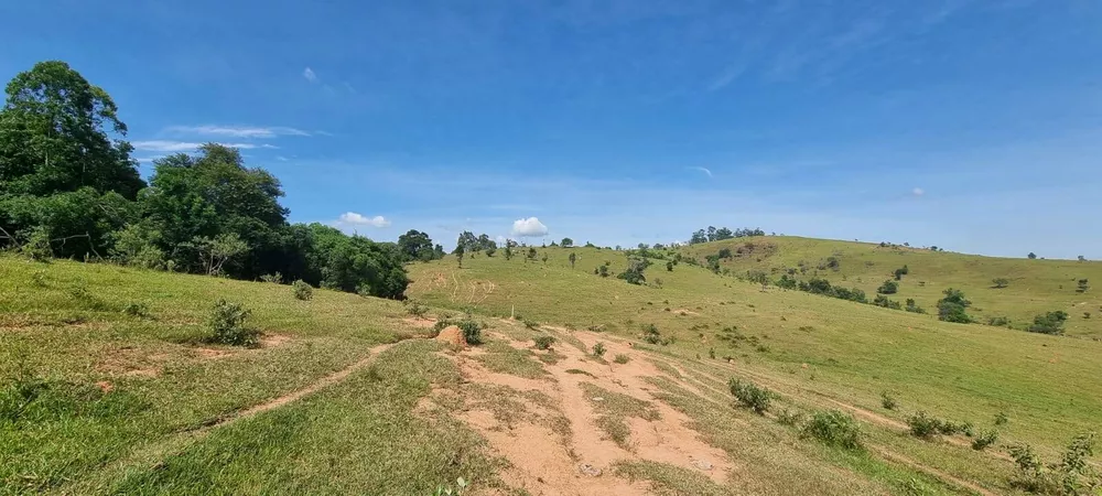 Terreno, 21 hectares - Foto 8