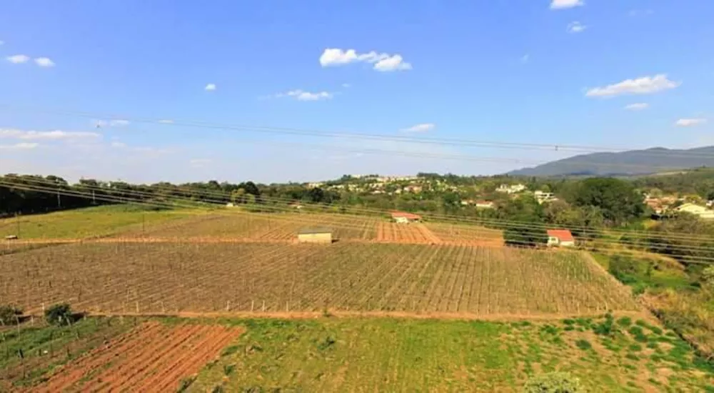 Terreno à venda, 36000m² - Foto 3