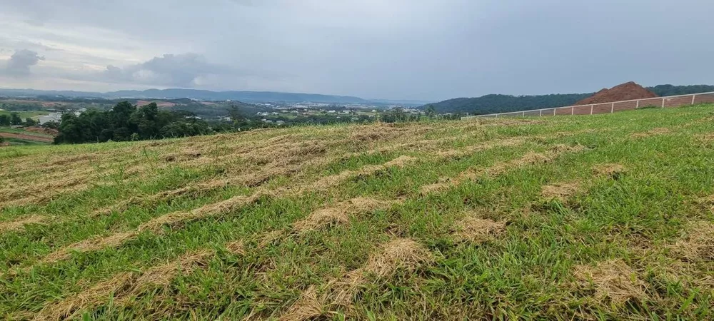 Terreno à venda, 800m² - Foto 2